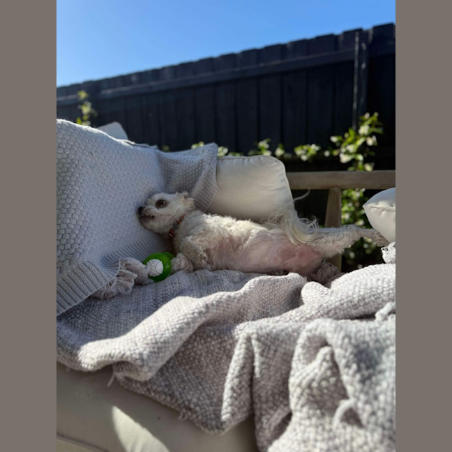 Photo of Max
