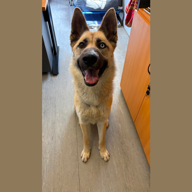 Photo of Athena