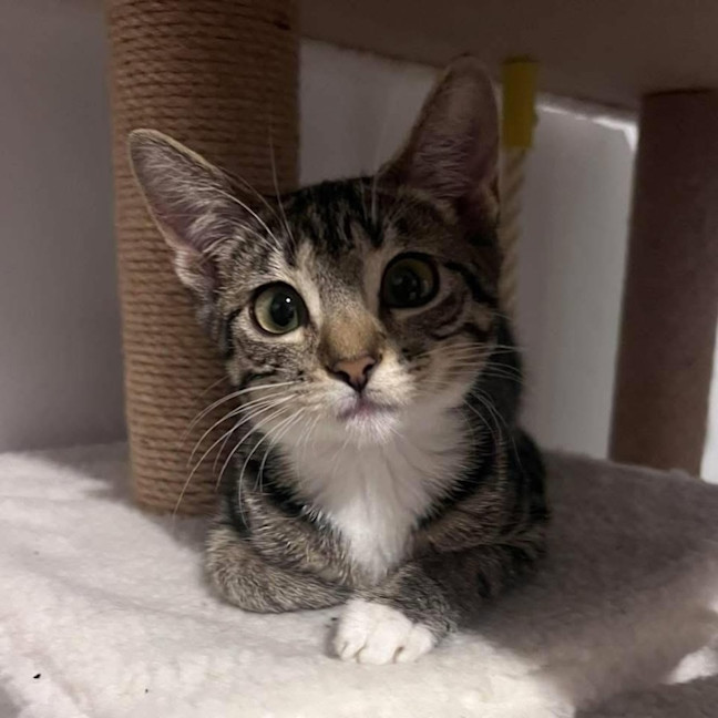 Photo of 13345   Grace