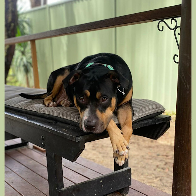 Photo of Marnie