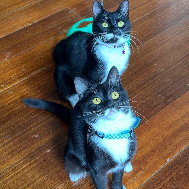 Photo of Peppa & Tabitha
