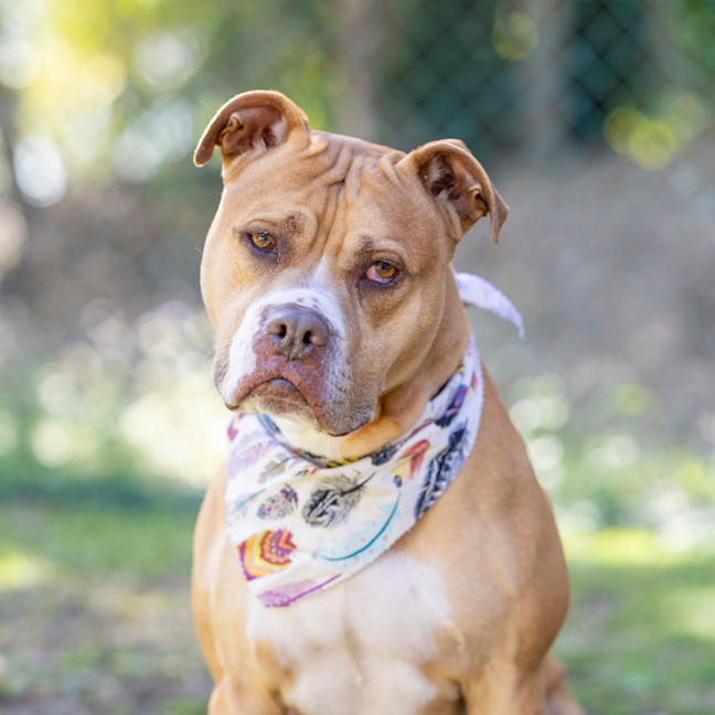 Photo of Butch