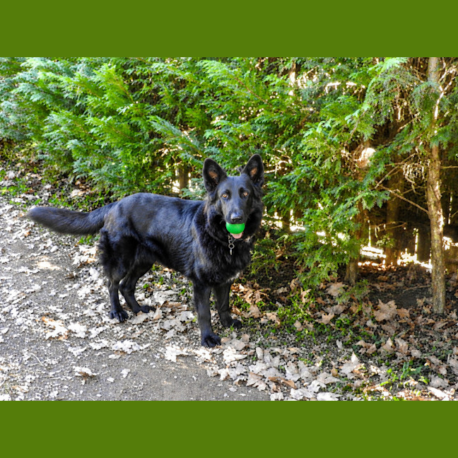 Photo of Lucy