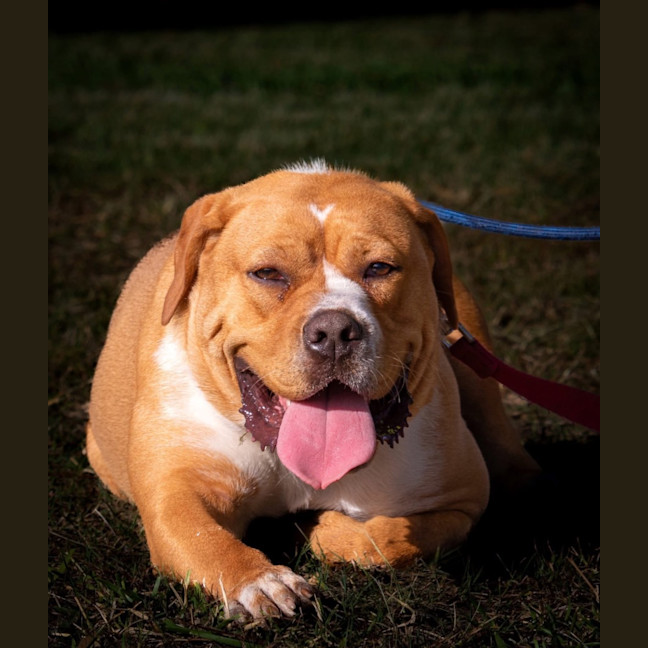 Photo of Rosie