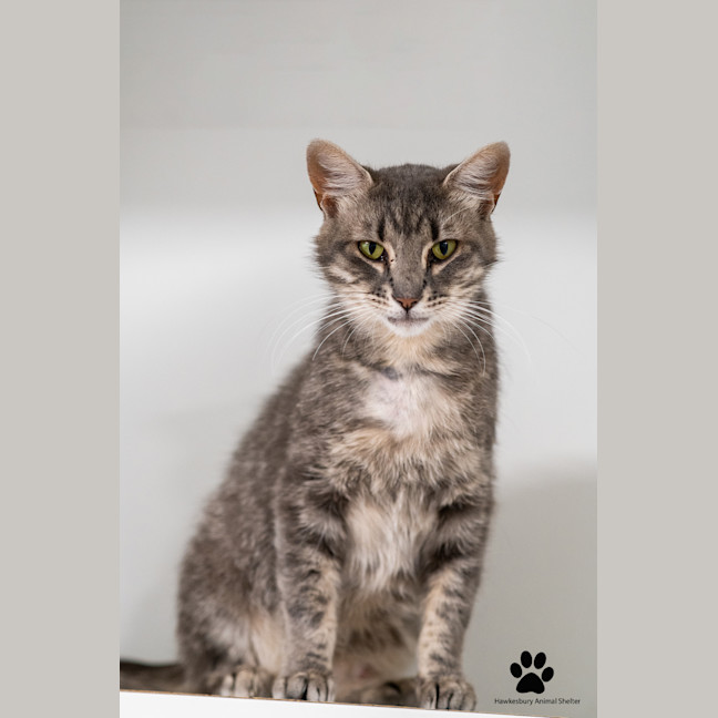 Photo of Missy