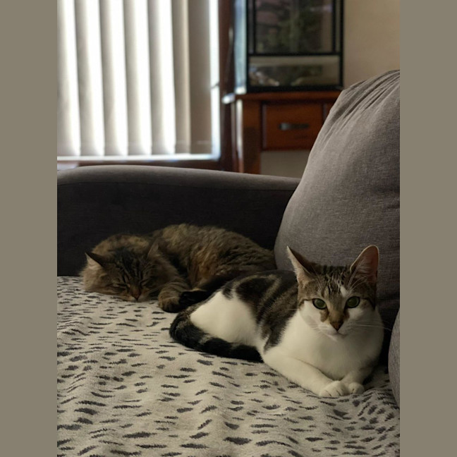 Photo of Ellie & Munchie