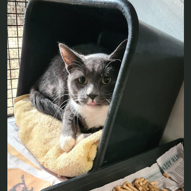 Photo of Spike