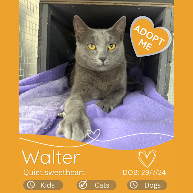Photo of Walter