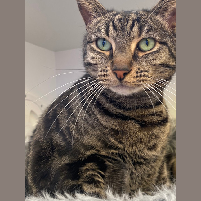 Photo of Pablo