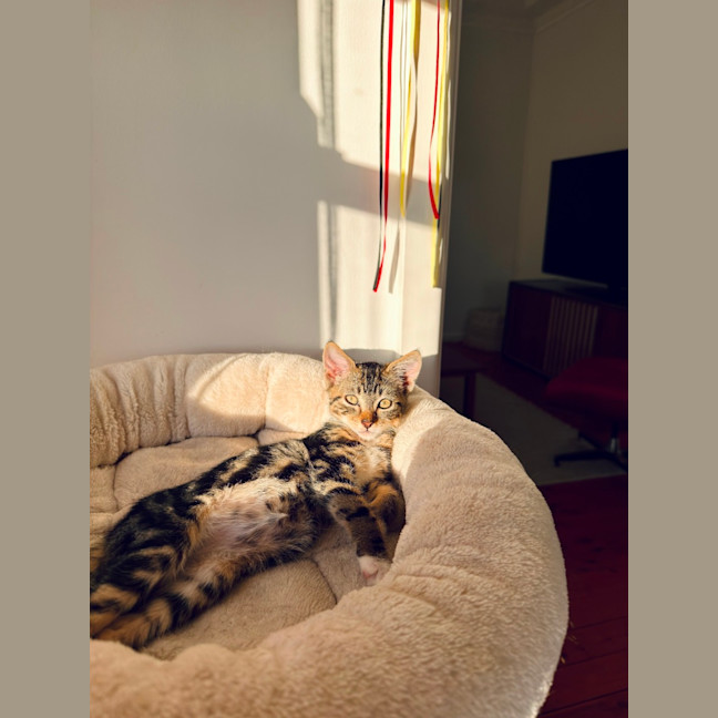 Photo of Carmela
