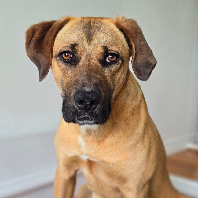 Photo of Ziggy