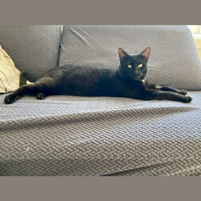 Photo of Butch