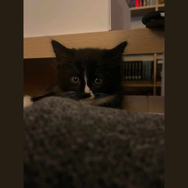 Photo of Stripe