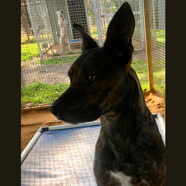Photo of Missy