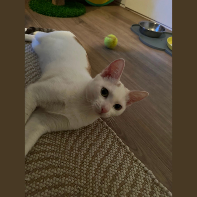 Photo of Gabby 