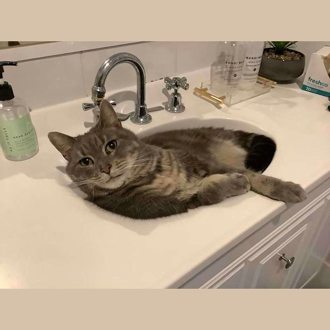 Photo of Stormy