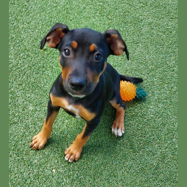 Photo of Tilly