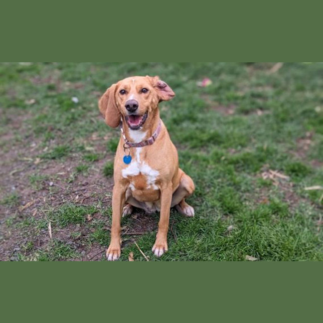 Photo of Luna
