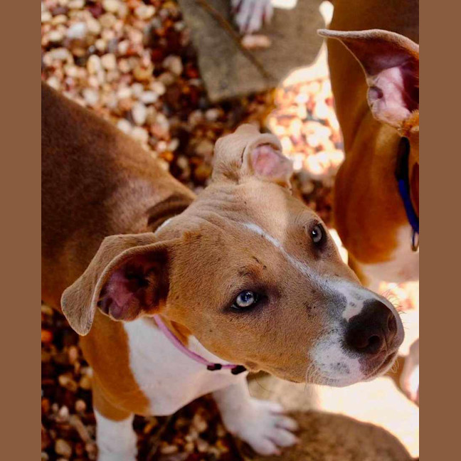 Photo of Pippa