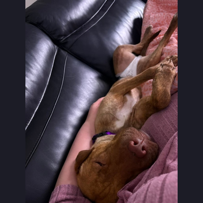 Photo of Mila And Lindy