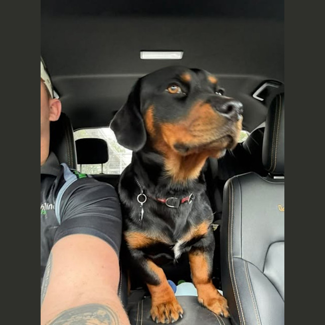 Photo of Zeus