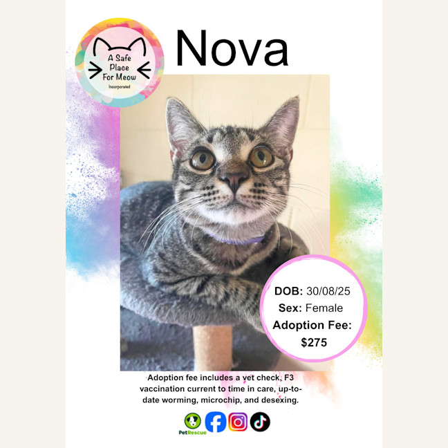 Photo of Nova