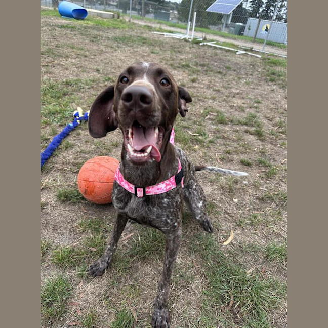 Photo of Nala