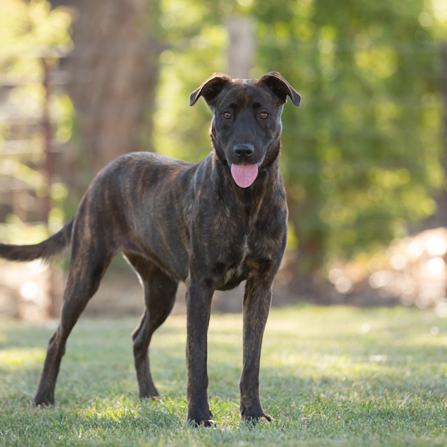 Photo of Hazel