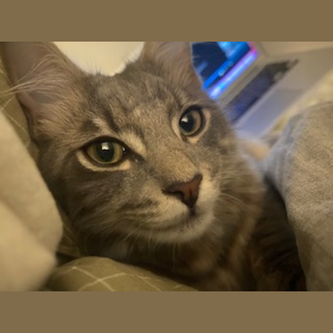 Photo of Buddy