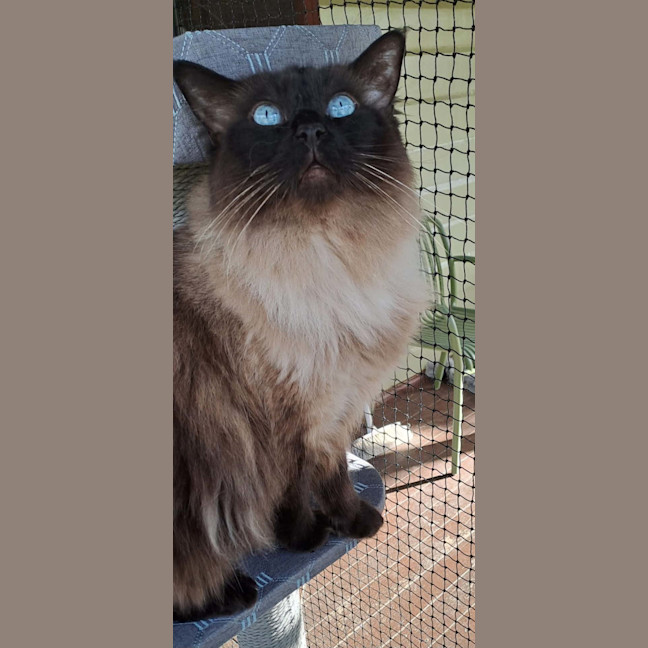 Photo of Hamish 