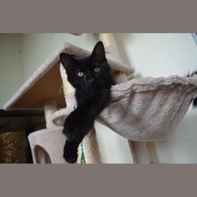 Photo of Sebastian