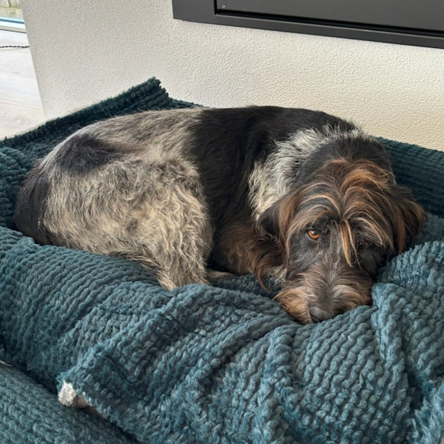 Photo of Chloe