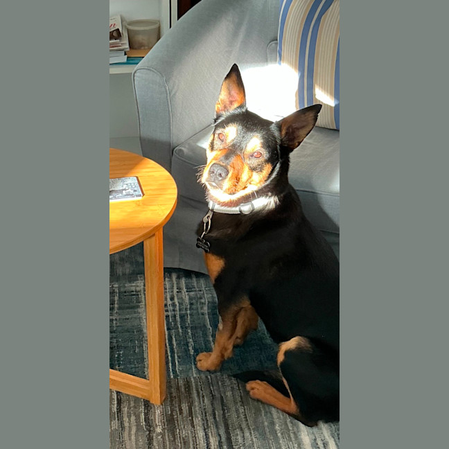 Photo of Ponzi