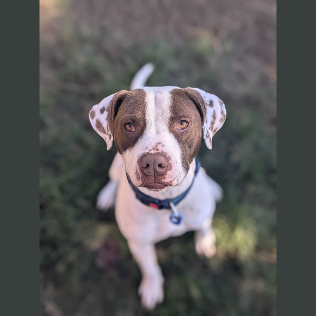 Photo of Duke