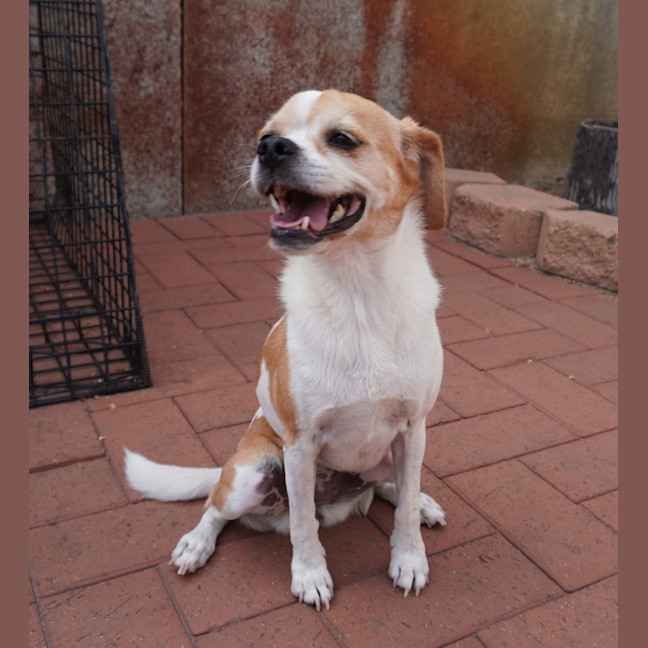 Photo of Adora
