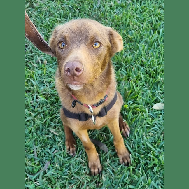 Photo of Lilly