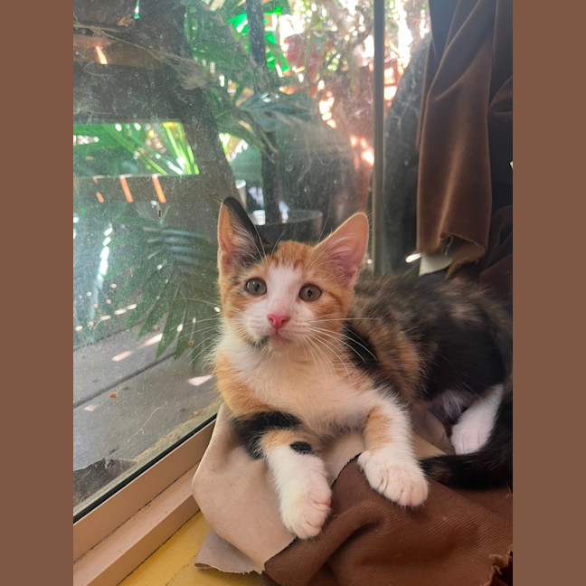 Photo of Pebbles & Carter