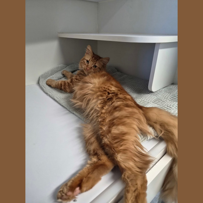 Photo of Roger 