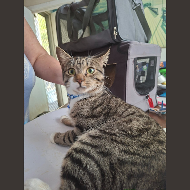 Photo of Jynx