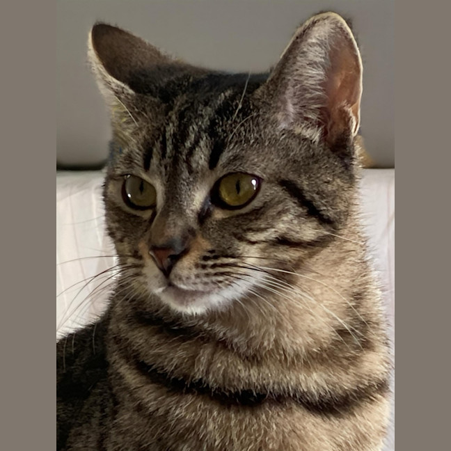 Photo of Eleanor