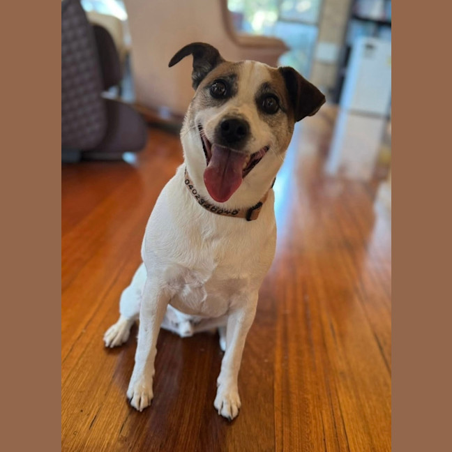 Photo of Rexy