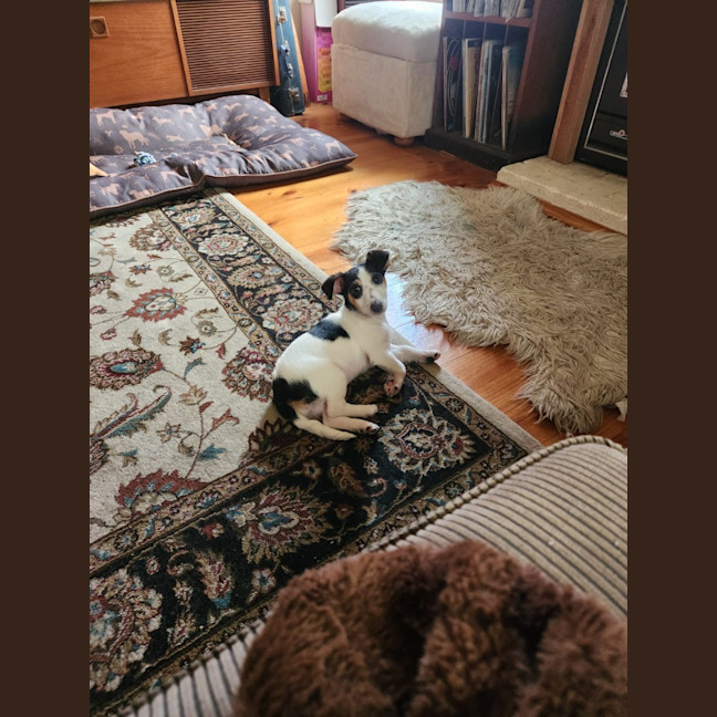 Photo of Speck