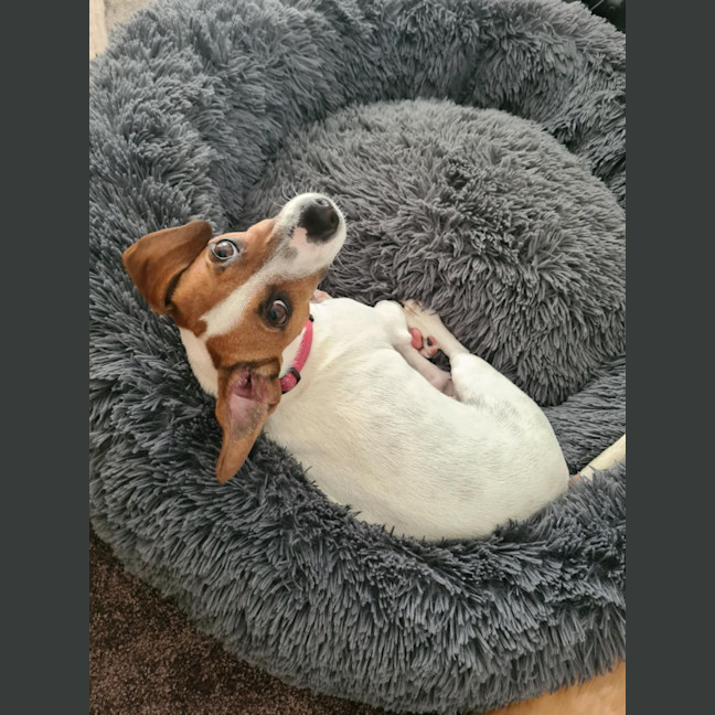 Photo of Jake