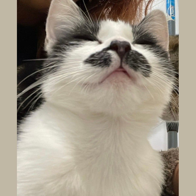 Photo of Luigi 