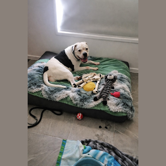 Photo of Sunny