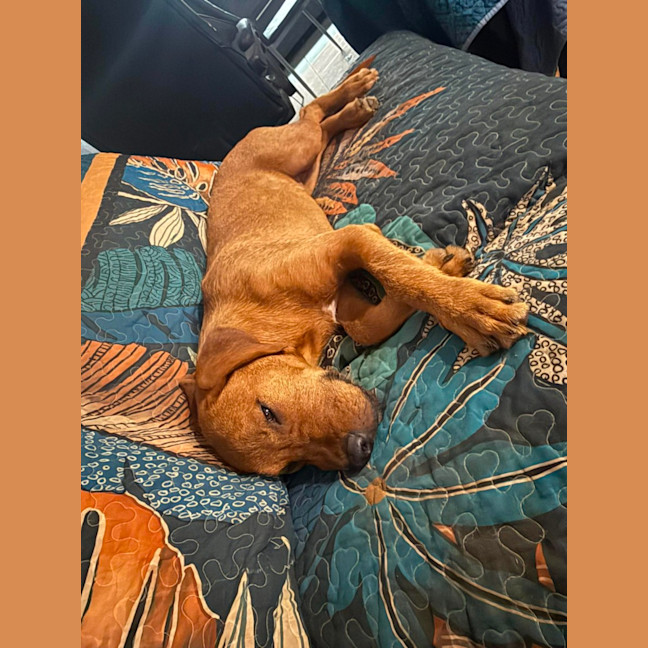 Photo of Clifford Aka Cliffy