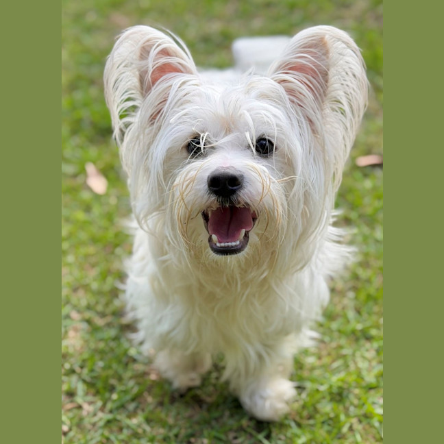Photo of Reggie