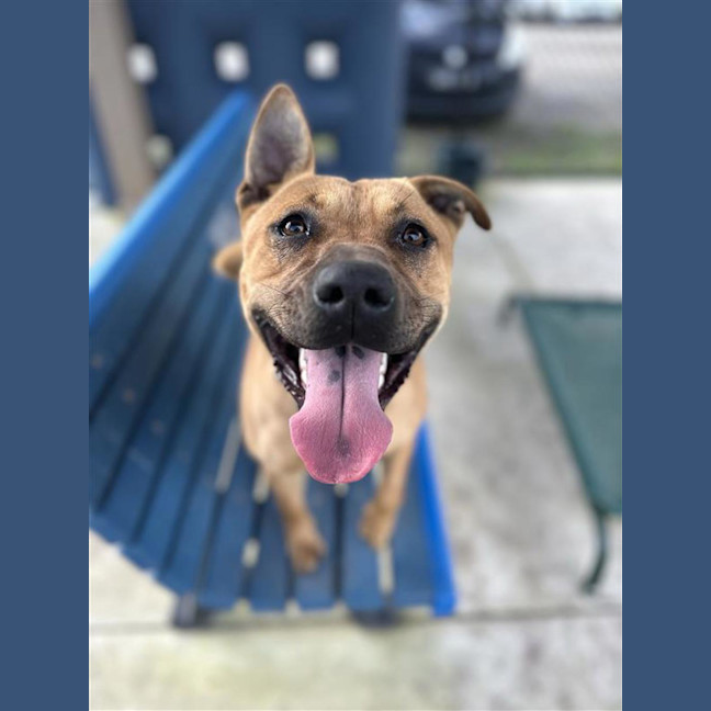 Photo of Ella