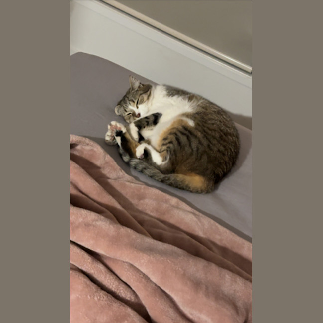 Photo of Kiara