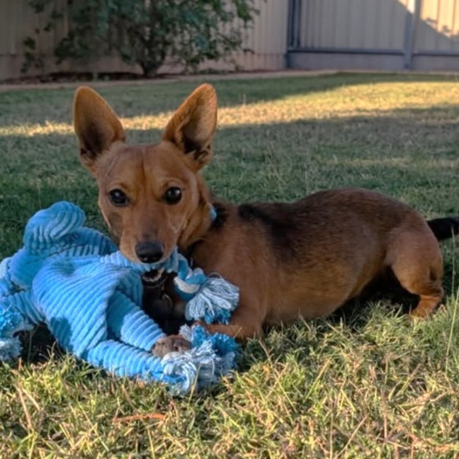 Photo of Rylo